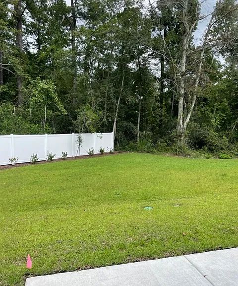 129 Hoffman Park Dr — Photo 32