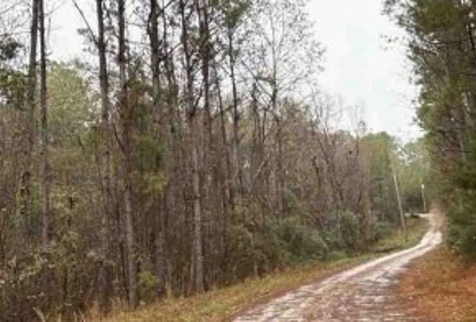 2nd image of 12578 Paul Duncan Rd