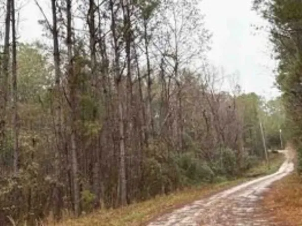 12578 Paul Duncan Rd, Cottondale, AL 35453