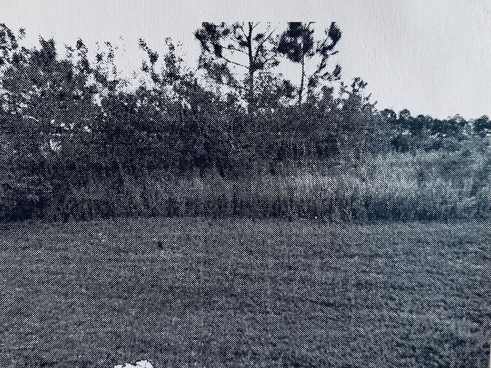 1st image of 1951 SW Fanfare St
