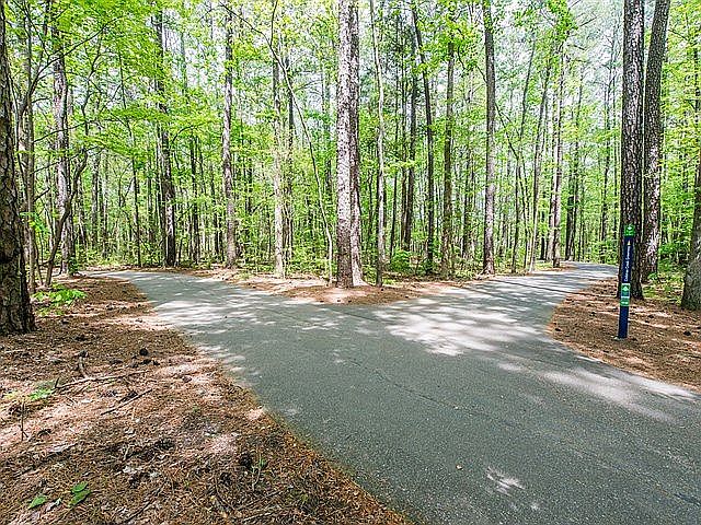 2nd image of 221 Swiss Lake Dr