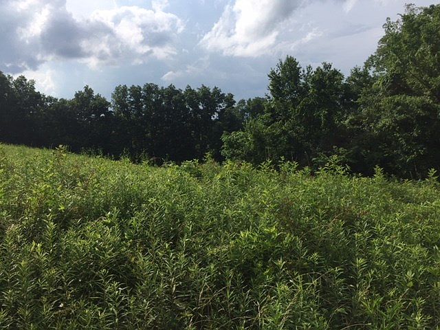 2nd image of 89 Bridges Dr