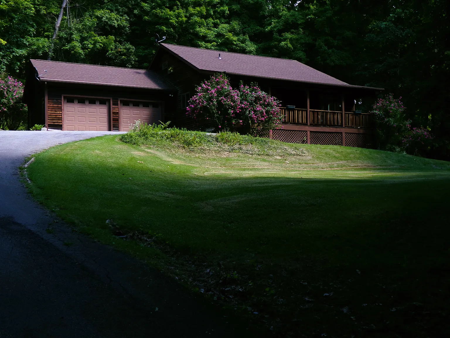 3 bed, 1.5 bath, 1470 sqft, $3,200 — Photo 3