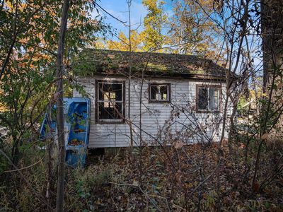 12340 Canter St NE, Belding, MI, 48809