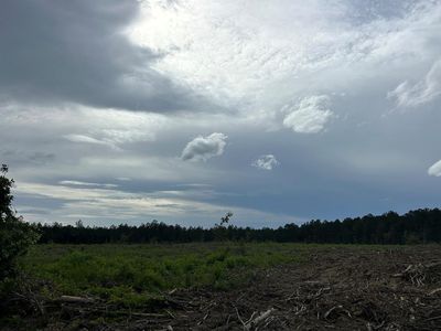 17619 SW Highway 98, Smithdale, MS, 39664