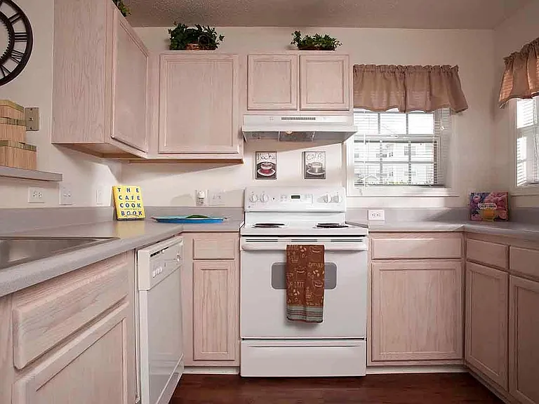 University Village at Clemson Student Housing — Photo 6