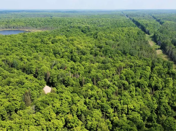 On Petticoat Lake Rd, Michigamme, MI 49861