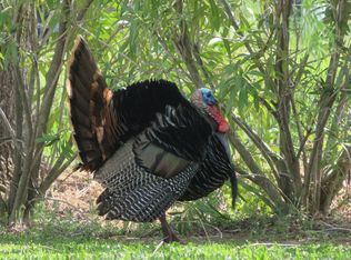 10359 Sheldon Meadow Ln, Elk Grove, CA 95624