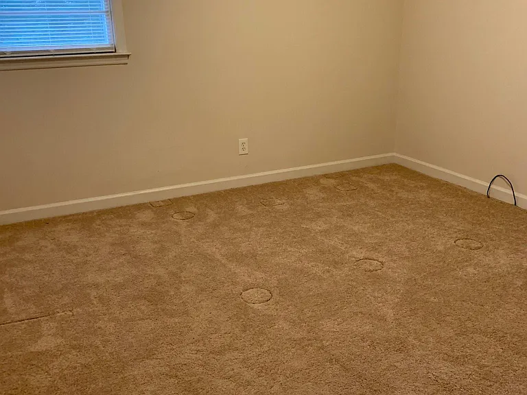 505 Locust Ln — Photo 4