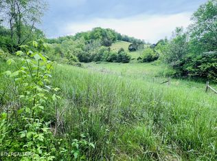 1747 Trent Valley Rd, Sneedville, TN 37869