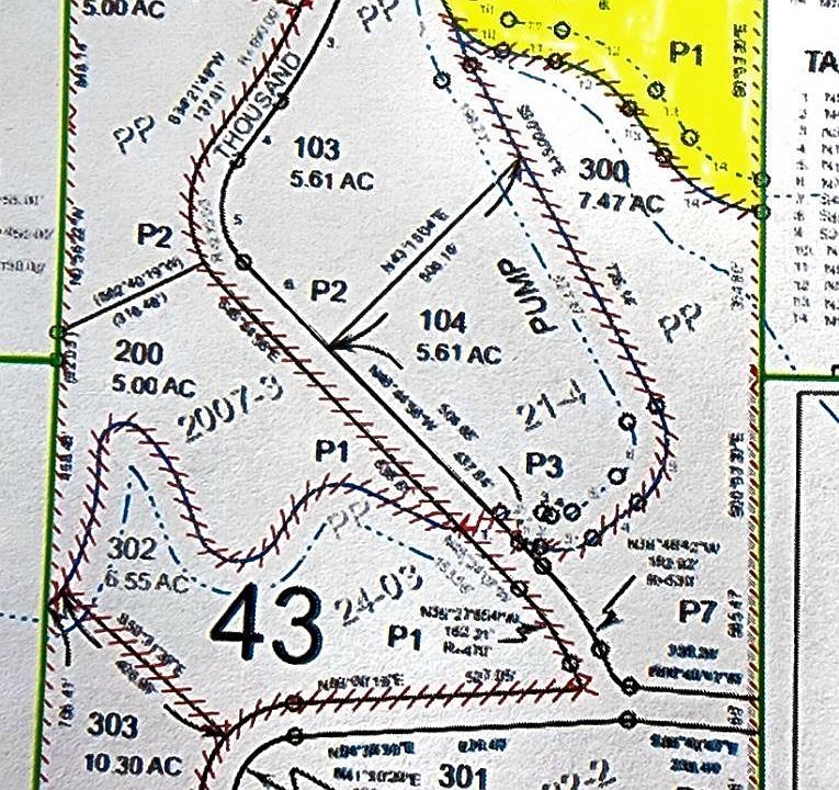 1st image of 1000th Spgs