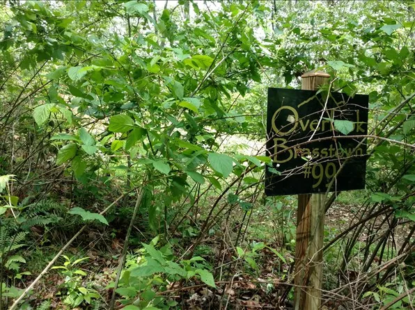 LOT 99 Brasstown Vw, Brasstown, NC 28902