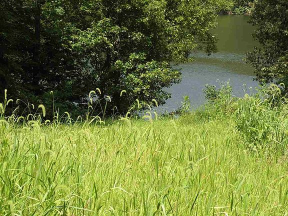 3rd image of Lot 7 Whispering Hls Lot 7