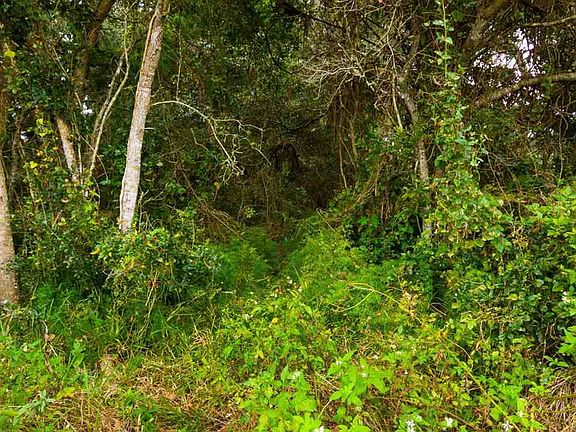 5th image of 4000B Moultrie Foreside Blvd