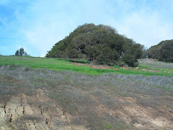 Looking up towards Merril