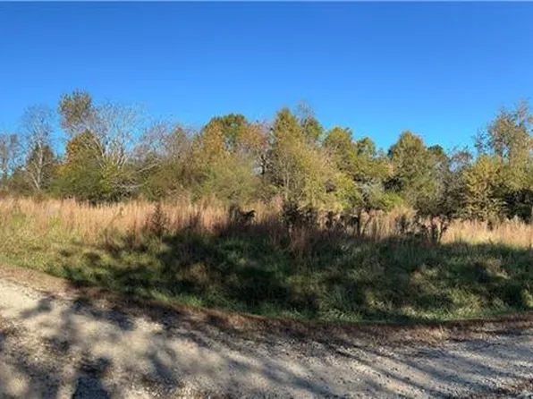 167 Hendren Ln, Hiddenite, NC 28636