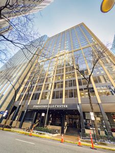 233 E Erie St APT 1702, Chicago, IL, 60611