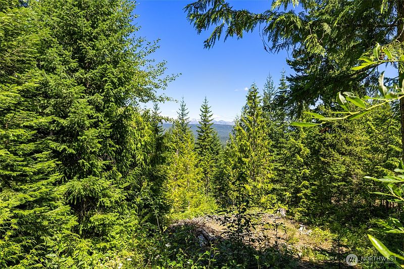 5th image of 91 Basin Creek Way