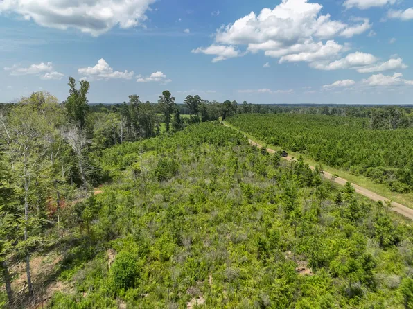 Firetower Rd, Hemphill, TX 75948