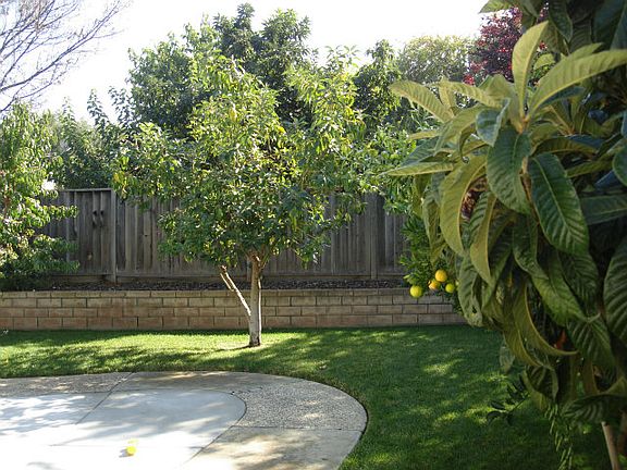 2nd image of 1524 Ilikai Ave