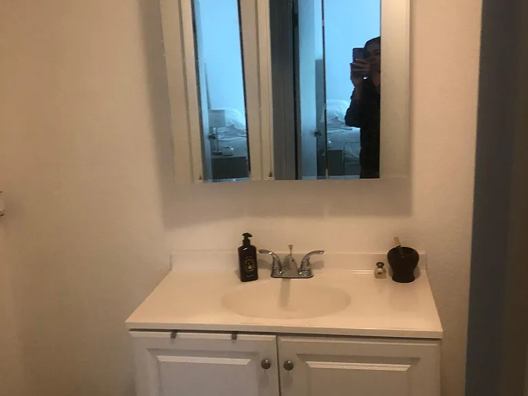 Vanity sink