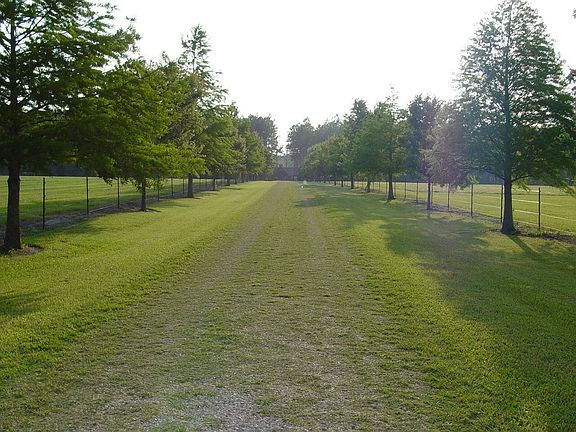 The driveway to the house