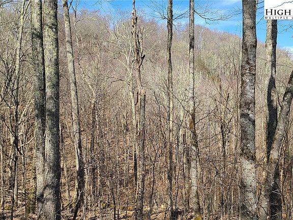 2nd image of TBD Sugar Mountain Drive