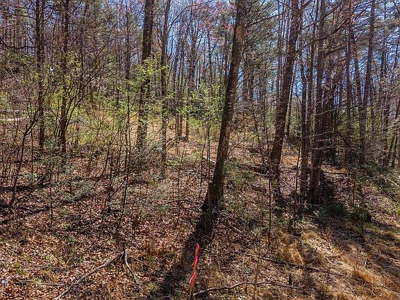 2nd image of Shell Hollow Ln