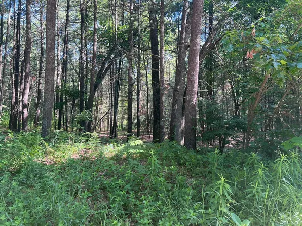 Nash Rd, Twin Lake, MI 49457