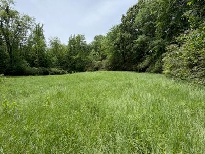 0 Terry, Cedar Grove, TN, 38321