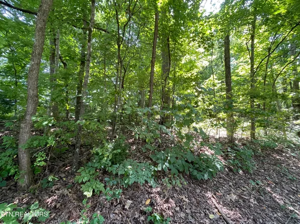 3320 Gumstand Dr, Powell, TN 37849