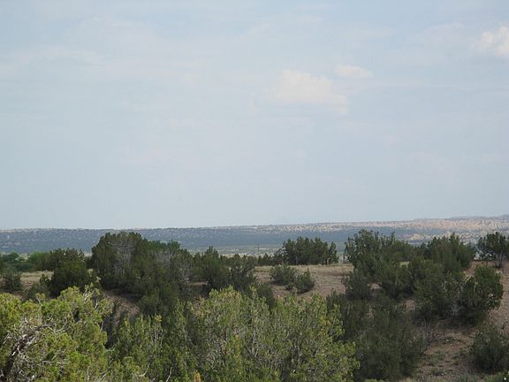 4th image of 567 Hwy 4