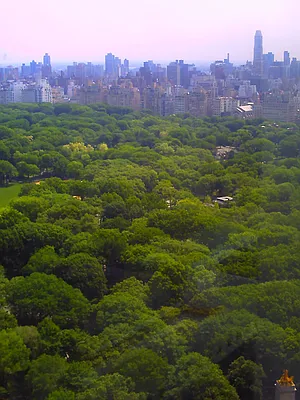 Rented by Sotheby's International Realty | media 20