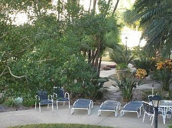 3rd image of 147 Bluff View Dr APT 208