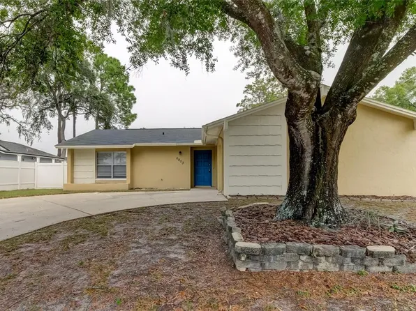 6803 Spanish Moss Cir, Tampa, FL 33625