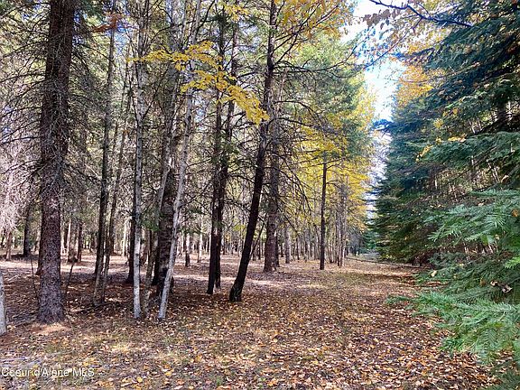 4th image of Nna Cougar Rd Lot 1A