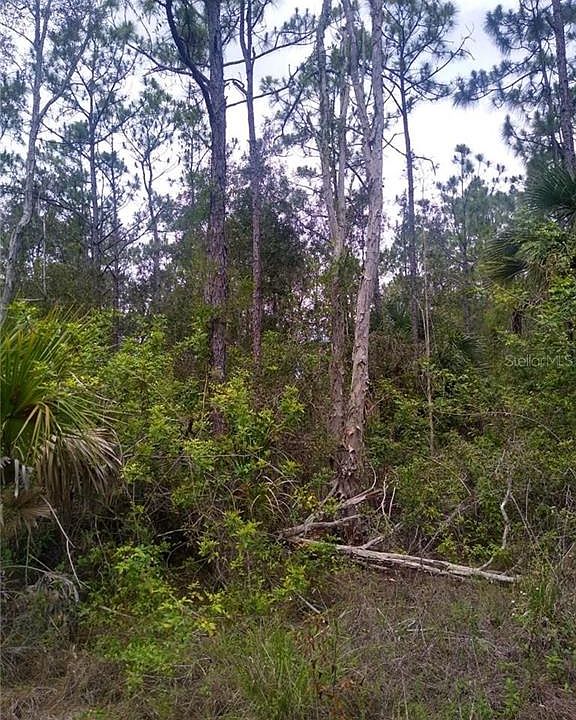 1st image of 12451 CARAVAN DRIVE LOT 16