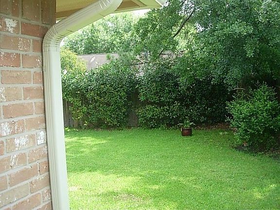 backyard2