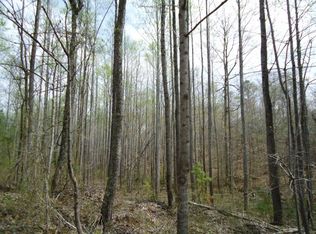 927 Hill Chapel Rd, Big Sandy, TN 38221