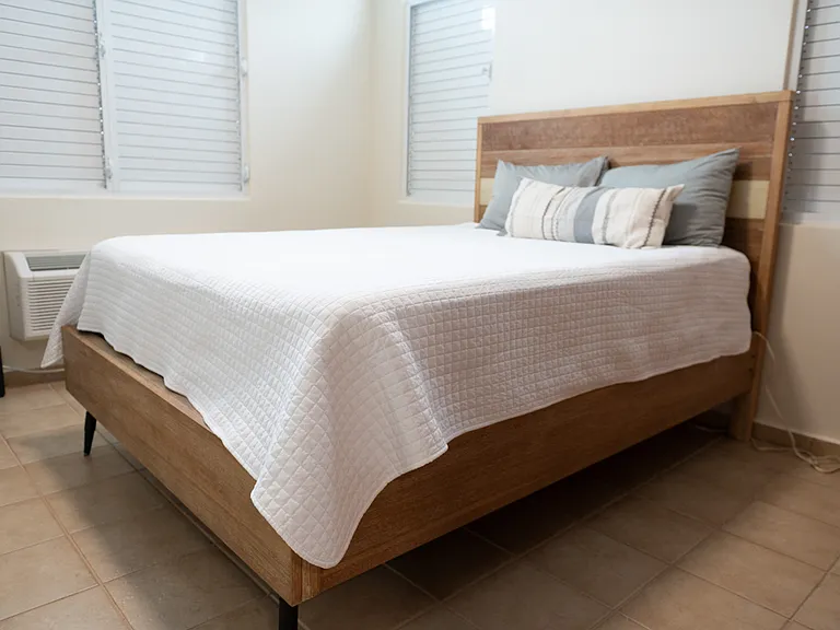 Master Bedroom with walking closet