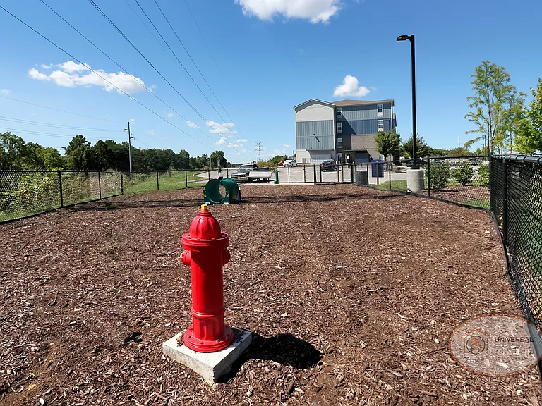 Bark Park