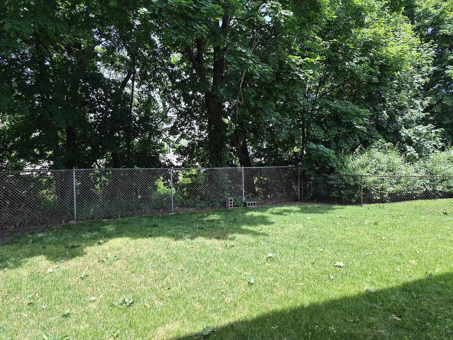 2 bed, 1.5 bath, $2,590 — Photo 2