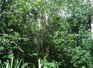 18th Ave LOT 123, Keaau, HI 96749