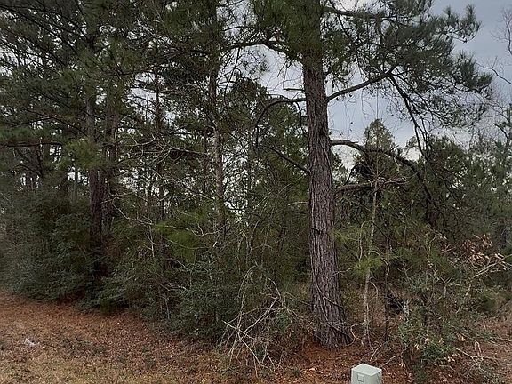 2nd image of 24159 Weeren Rd