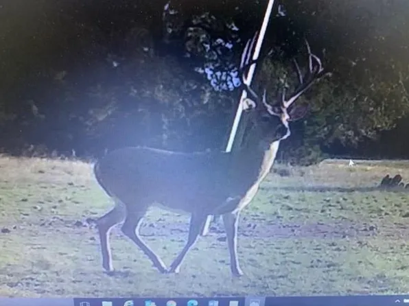 0 Kc #210, Junction, TX 76849