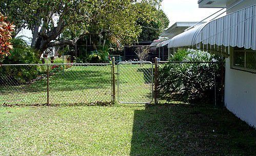 Fenced Backyard 