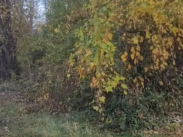 41 Holcomb Ln, New Castle, DE 19720