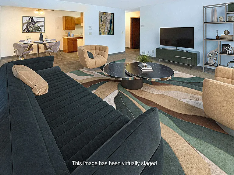 Plush Living Room Carpeting