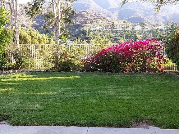 View from backyard!