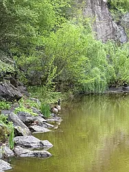 Rented by CITY SPHERE